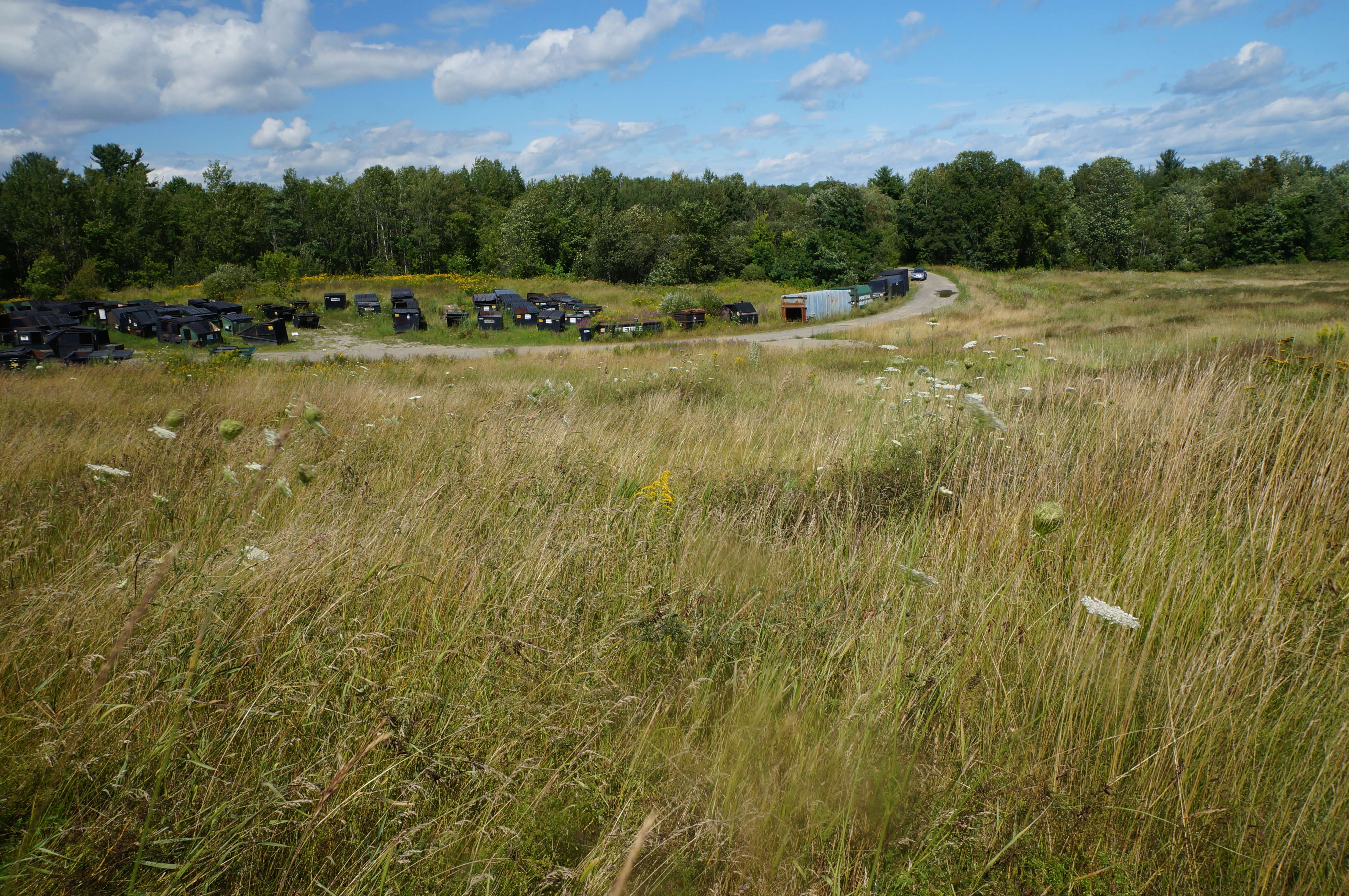 Former Maine landfills finding new life with solar development